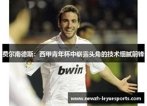费尔南德斯:西甲青年杯中崭露头角的技术细腻前锋 费尔南德斯:西甲青年杯中崭露头角的技术细腻前锋
